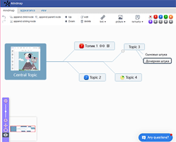  iMindmap